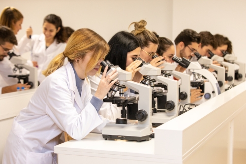 Foto Instituto Oficial de Formación Profesional en MEDAC Albalá #1