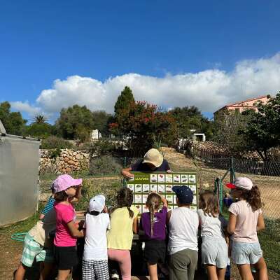 Foto Colegio Sant Francesc De Sales #3