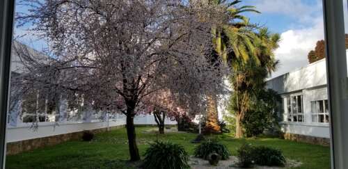 Foto Colegio Hijas De Cristo Rey #1