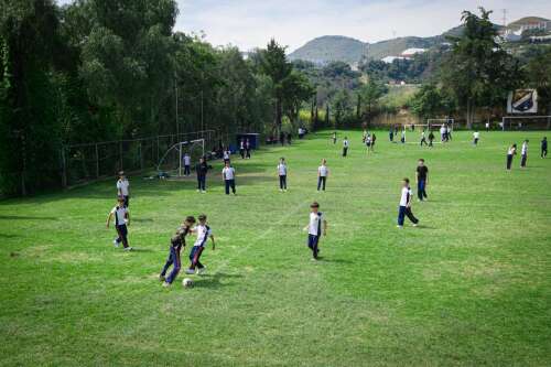 Foto Colegio El Pedregal #2