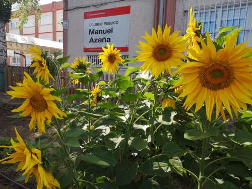 Foto Colegio Manuel Azaña #0