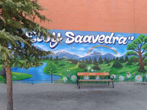 Foto Colegio Eloy Saavedra #0