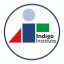 Logo de Indigo Institute