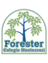 Logo de Preescolar Montessori