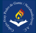 Logo de Colegio  Fray Pedro De Gante Nezahualcoyotl 