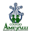 Colegio Ameyalli