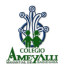 Logo de Ameyalli