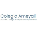 Logo de Colegio Ameyali