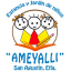 Logo de  Ameyalli