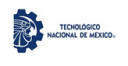 Instituto Tecnológico Nacional Nuevo Leon