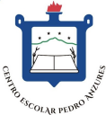 Logo de Colegio Pedro Anzures