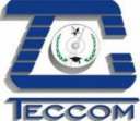 Logo de Instituto Teccom De Mexico