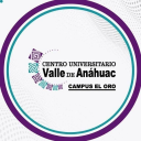 Centro Universitario Valle de Anáhuac Campus el Oro