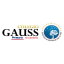 Logo de Gauss