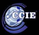 Logo de  Academia CCIE Construye Plantel Tultitlan