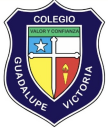 Logo de Colegio Guadalupe Victoria