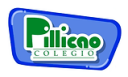 Colegio Pillicao