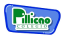 Logo de Pillicao