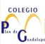 Logo de Plan De Guadalupe