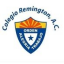 Logo de Remington