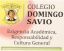 Logo de Domingo savio 