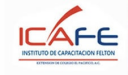 Logo de Instituto De Capacitación Felton