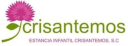 Estancia Infantil Crisantemos