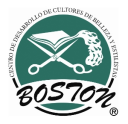 Preparatoria Estilistas Boston