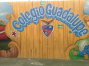 Logo de Colegio Guadalupe