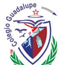 Logo de Colegio Guadalupe Tancítaro