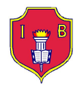 Instituto Bassols Primaria 