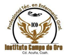  Instituto Campo De Oro