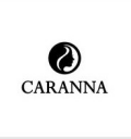 Logo de Instituto Caranna