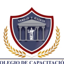 Logo de Instituto Capacitación Y Consultoría Integral