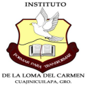 Colegio Loma Del Carmen Ac