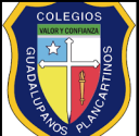 Logo de Instituto Del Carmen