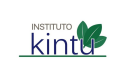 Instituto Kintu