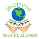 Instituto   Miguel Aleman 