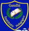 Logo de Gandhi