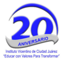 Instituto   Vicentino de Cd Juarez