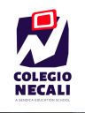 Colegio Necai, Centro Educativo