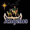 Logo de Colegio Angelus