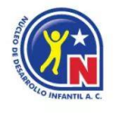 Colegio Nucleo De Desarrollo Infantil