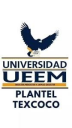 Logo de Instituto  Nueva Escuela Tecnológica UEEM Texcoco