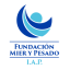 Logo de  Mier Y Pesado