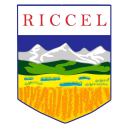 Logo de Colegio Educacion Integral Riccel 