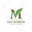 Logo de San Marcos