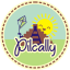 Logo de Centro De Desarrollo Escolar Pilcally