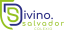 Logo de Divino Salvador