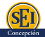 Logo de SEI Concepción